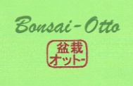Bonsai-Otto