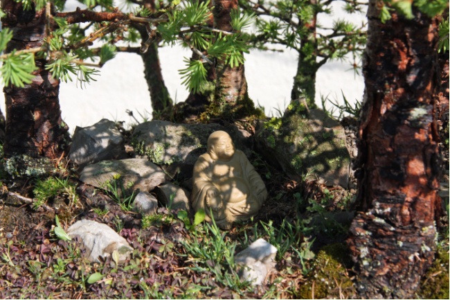 Buddha meditierend im Lärchenwald