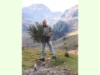 Die Fichte ist geborgen